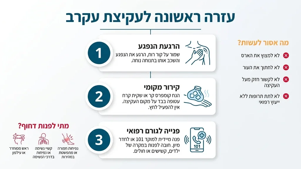 המחשה של עזרה ראשונה לאחר עקיצת עקרב וזיהוי תסמינים
