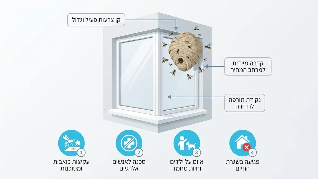 קן צרעות פעיל ומסוכן בסמוך לחלון בית מגורים