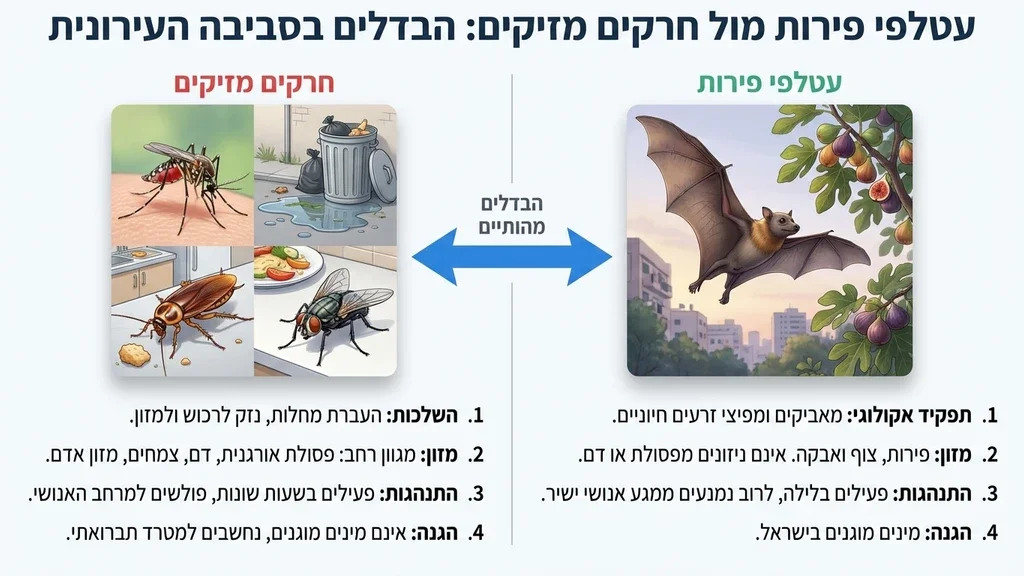 סוגי עטלפים בישראל בסביבה עירונית