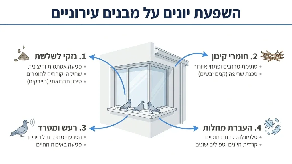 יונים על גג מבנה עירוני גורמות לנזק